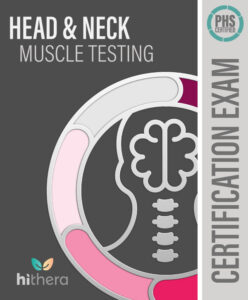 Head-Neck-Muscle-Testing