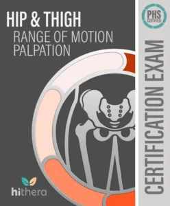 Hip-Thigh-ROM-Palpation