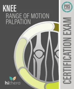 Knee-ROM-Palpation