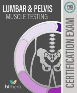 Lumbar-Pelvis-Muscle-Testing