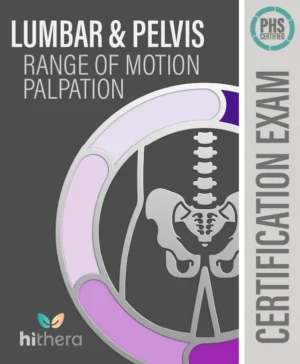 Lumbar and Pelvis Range of Motion and Palpation