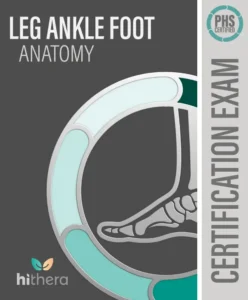 PHS-Certified-Covers_Leg-Ankle-Foot-Anatomy