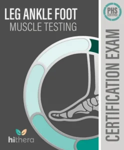 PHS-Certified-Covers_Leg-Ankle-Foot-Muscle-Testing