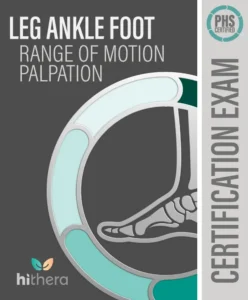 PHS-Certified-Covers_Leg-Ankle-Foot-ROM-Palpation