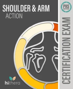 Shoulder Arm Action