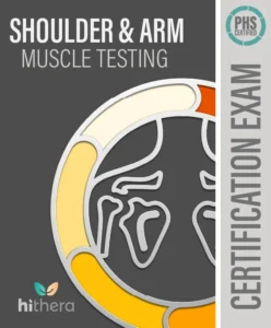 Shoulder Arm Muscle Testing