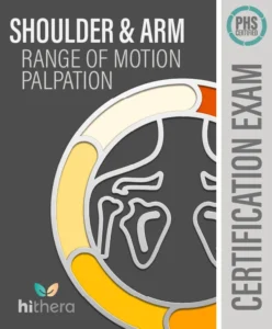 Shoulder Arm ROM Palpation