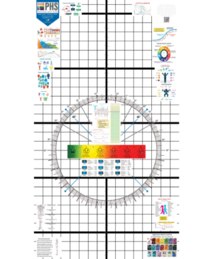 Posture Poster - 2 Posters per tube